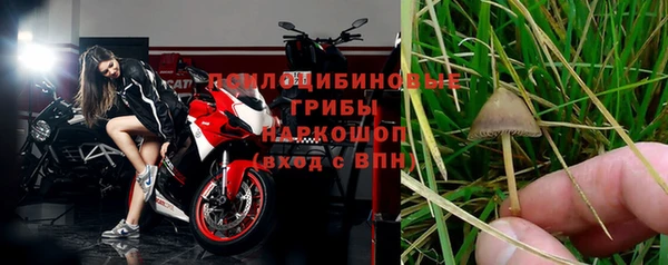 гашик Армянск