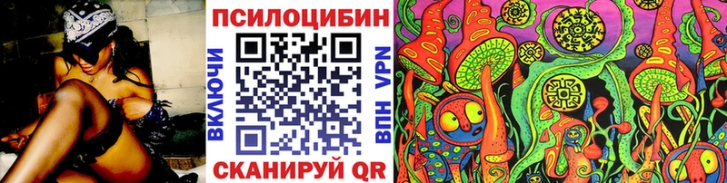 Псилоцибиновые грибы Psilocybine cubensis Пущино
