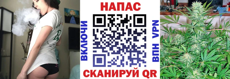Марихуана Amnesia  дарнет шоп  Пущино 